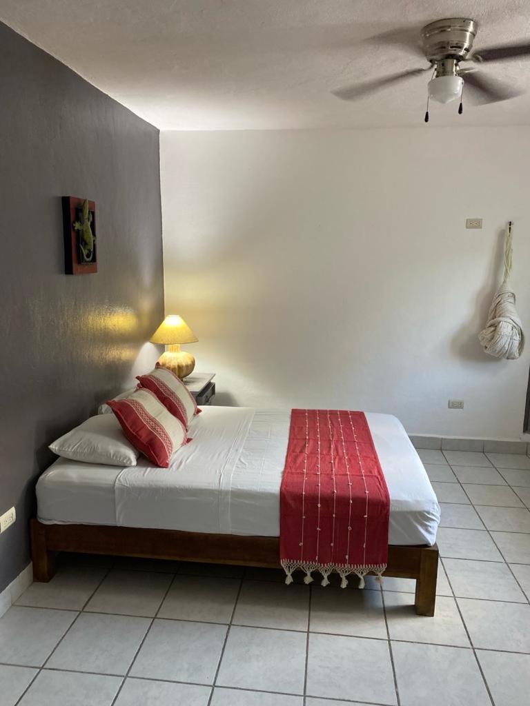 Guest house Caribo Cozumel